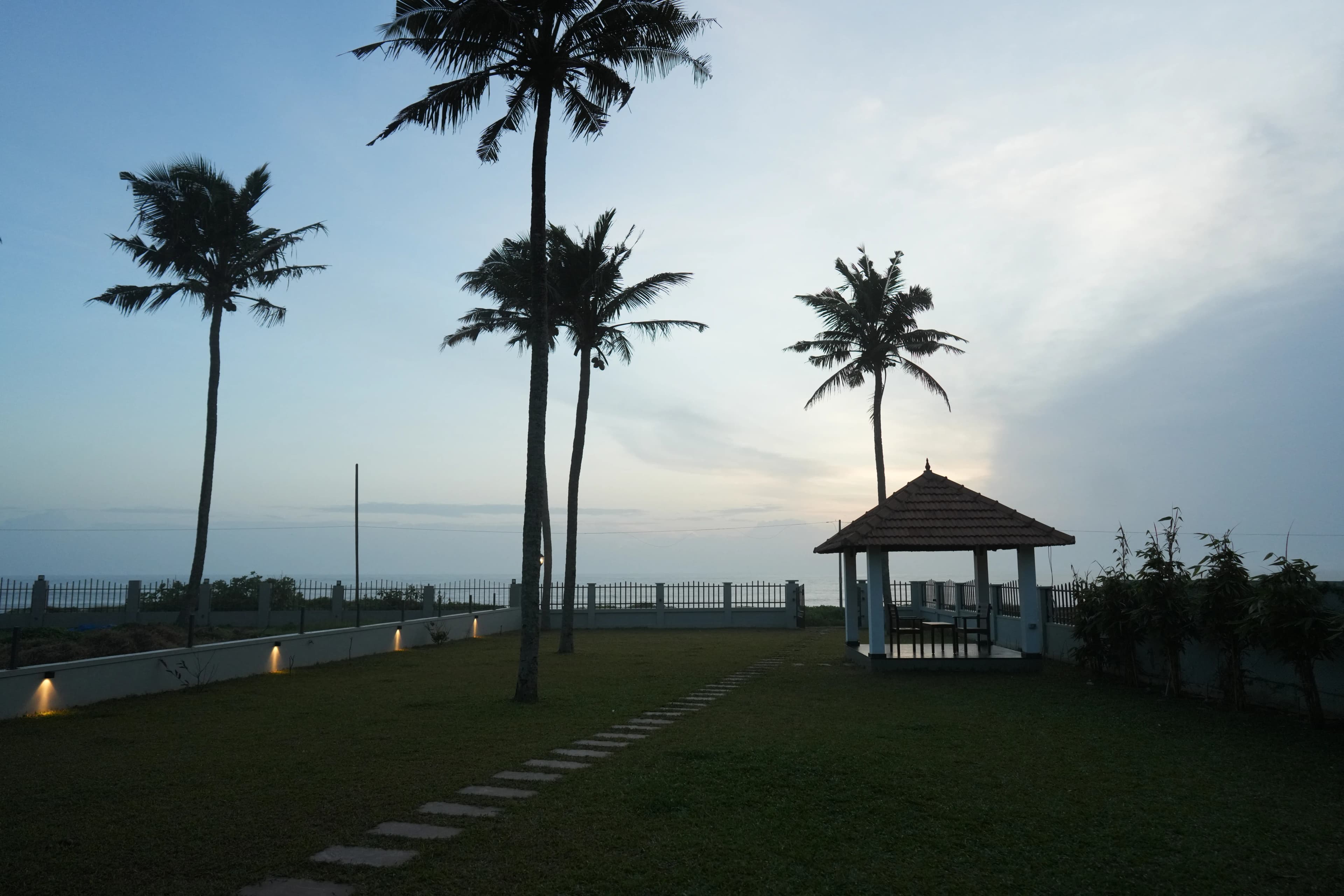 Evening View with Palm Trees